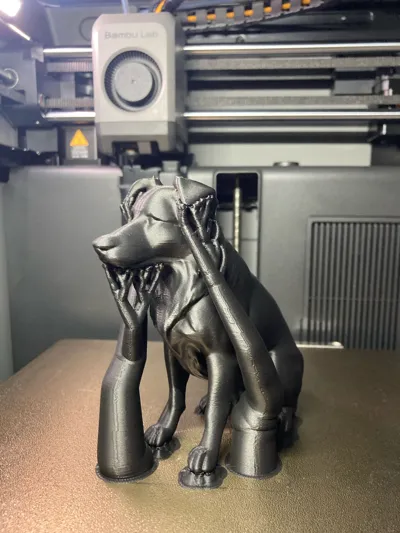 https://makerworld.bblmw.com/makerworld/model/1584645/1668205/ratings/e7368d60-c7b7-11f0-a031-c16d95fcc7e6.jpg