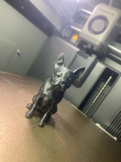 https://makerworld.bblmw.com/makerworld/model/1584660/1668219/ratings/657ab9c0-f6e9-11f0-b60f-19ca7d4f20df.jpg