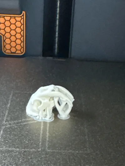 https://makerworld.bblmw.com/makerworld/model/1585441/1669162/ratings/066a7120-fb06-11f0-aa03-094ec39c91c2.jpg