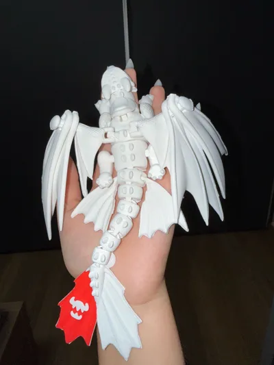 https://makerworld.bblmw.com/makerworld/model/1585892/1669667/ratings/6e28c410-c811-11f0-aa42-9597e1e769e4.jpg
