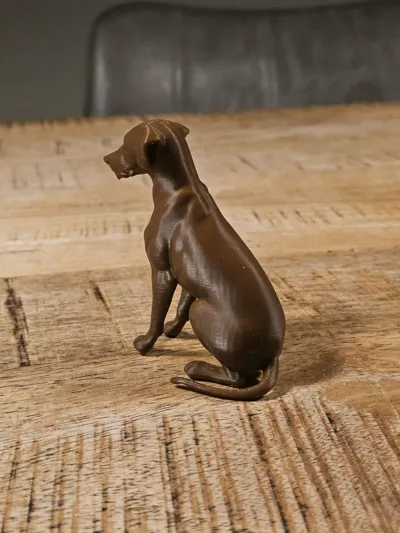 https://makerworld.bblmw.com/makerworld/model/1586335/1670121/ratings/a0792300-b83b-11f0-ad2e-556de7d104ea.jpg
