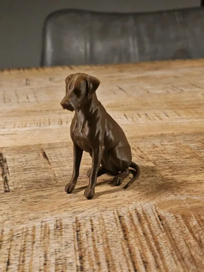 https://makerworld.bblmw.com/makerworld/model/1586335/1670121/ratings/a08494b0-b83b-11f0-ad2e-556de7d104ea.jpg