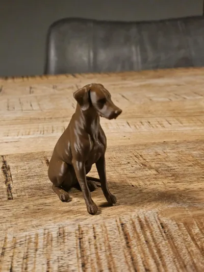 https://makerworld.bblmw.com/makerworld/model/1586335/1670121/ratings/a08f6a20-b83b-11f0-ad2e-556de7d104ea.jpg