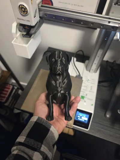 https://makerworld.bblmw.com/makerworld/model/1586341/1670131/ratings/ccb7e210-bcde-11f0-8907-1ddaa09de6f5.jpg