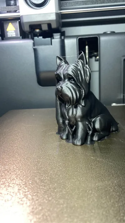 https://makerworld.bblmw.com/makerworld/model/1586379/1670194/ratings/7f07e040-c7c6-11f0-9b6b-c780d496a2c3.jpg