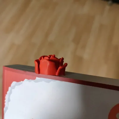 https://makerworld.bblmw.com/makerworld/model/158676/174201/ratings/9999aca0-e00c-11f0-a669-59758fa6d22f.jpg