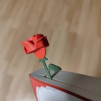 https://makerworld.bblmw.com/makerworld/model/158676/174201/ratings/999e8ea0-e00c-11f0-a669-59758fa6d22f.jpg