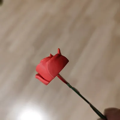 https://makerworld.bblmw.com/makerworld/model/158676/174201/ratings/99a0d890-e00c-11f0-a669-59758fa6d22f.jpg