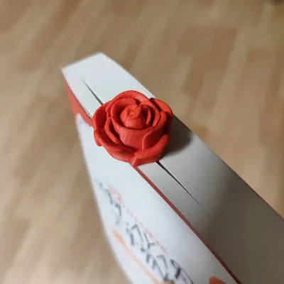 https://makerworld.bblmw.com/makerworld/model/158676/174201/ratings/99a93d00-e00c-11f0-a669-59758fa6d22f.jpg