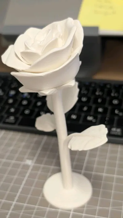 https://makerworld.bblmw.com/makerworld/model/1590226/1872390/ratings/abef88e0-e2b7-11f0-be09-0fafa395cb2b.jpg