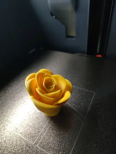 https://makerworld.bblmw.com/makerworld/model/1593516/1678489/ratings/fb056120-e073-11f0-ba1f-a12a12daa74f.jpg