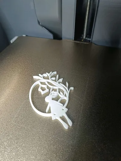 https://makerworld.bblmw.com/makerworld/model/1595614/1680909/ratings/a9685750-5e69-11f0-8787-8fe81e8fc6c4.jpg