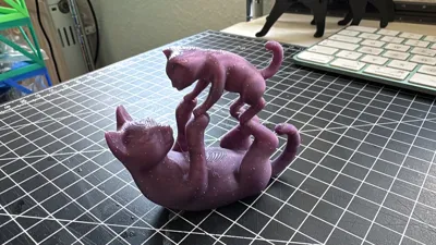 https://makerworld.bblmw.com/makerworld/model/1595789/1687509/ratings/de38cf90-658b-11f0-8e18-53264625f691.jpg