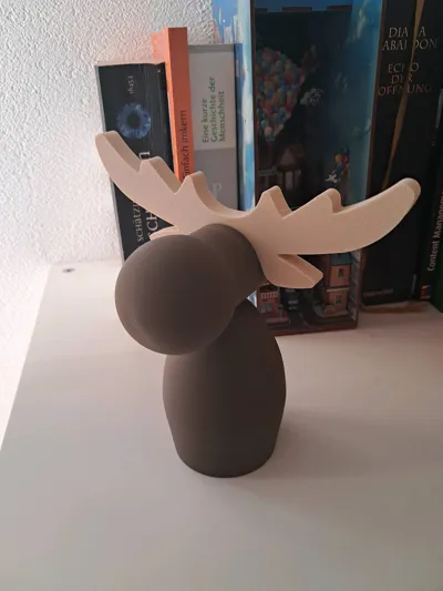 https://makerworld.bblmw.com/makerworld/model/1596240/1681667/ratings/2320bc50-e195-11f0-91cf-cd4b6b4c5513.jpg