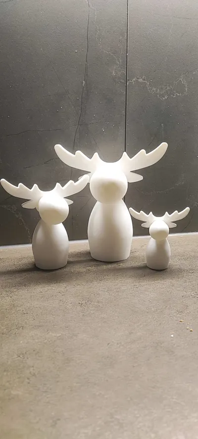 https://makerworld.bblmw.com/makerworld/model/1596240/1681678/ratings/2ffe5350-cc97-11f0-acae-097f9f1a71f5.jpg