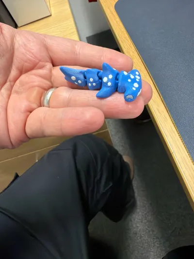 https://makerworld.bblmw.com/makerworld/model/1596667/1682232/ratings/eaf97090-c95e-11f0-9c34-d5fda0caaa7a.jpg
