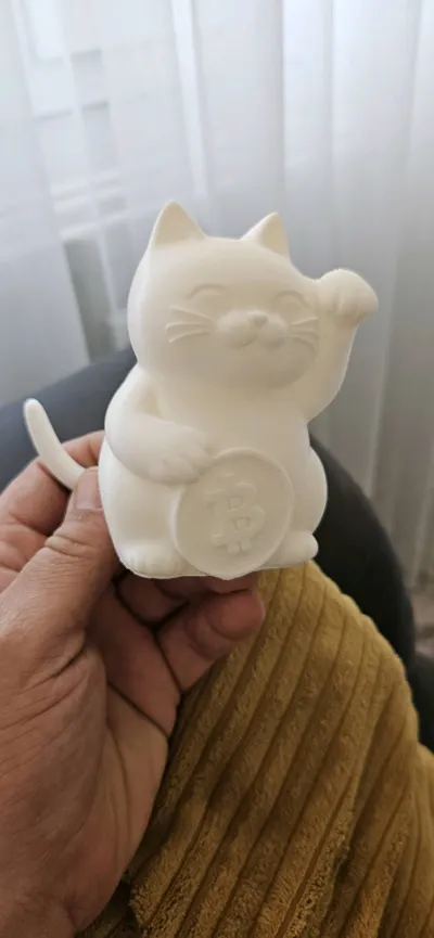 https://makerworld.bblmw.com/makerworld/model/1598109/1683912/ratings/fc2fb790-67e6-11f0-912c-8f4c64464663.jpg