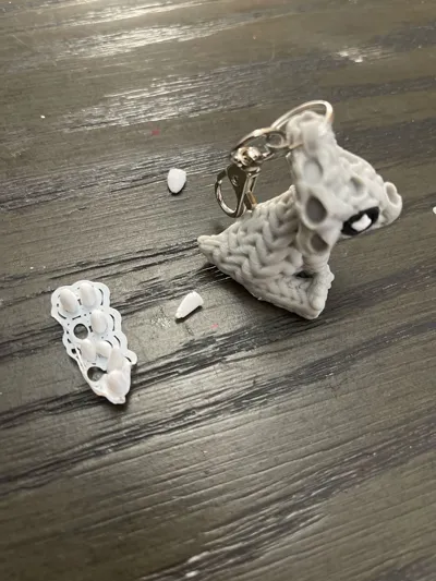 https://makerworld.bblmw.com/makerworld/model/1598223/1684071/ratings/40e01ed0-be7b-11f0-86b3-3f8862e0ba13.jpg