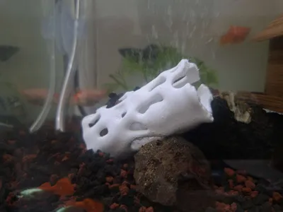 https://makerworld.bblmw.com/makerworld/model/1598822/1684812/ratings/345c5ab0-a9c3-11f0-9500-cfc6ac41c6a3.jpg