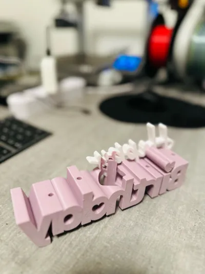 https://makerworld.bblmw.com/makerworld/model/1599228/1685336/ratings/94b137a0-e046-11f0-8d34-57e240c8fd97.jpg