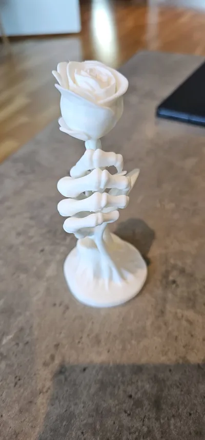https://makerworld.bblmw.com/makerworld/model/1599341/1685503/ratings/8d16b160-6020-11f0-9dee-45cdc5c84380.jpg