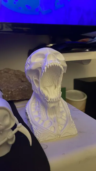 https://makerworld.bblmw.com/makerworld/model/1599572/1685747/ratings/66f51140-9ea3-11f0-9eb5-e567122f77ce.jpg