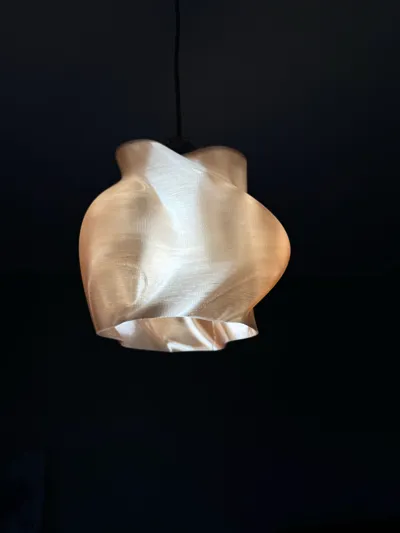 https://makerworld.bblmw.com/makerworld/model/1599801/1686032/ratings/a27fa430-9838-11f0-ac18-21a83e316aa1.jpg