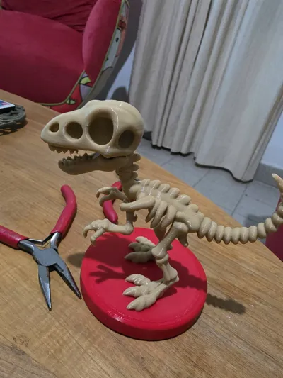 https://makerworld.bblmw.com/makerworld/model/1600796/1687230/ratings/ea510fa0-74bc-11f0-b9ec-d7ea8d1a514e.jpg