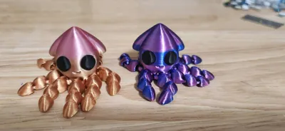 https://makerworld.bblmw.com/makerworld/model/1601182/1687716/ratings/c7829510-91b4-11f0-b58a-f37683af23a2.jpg