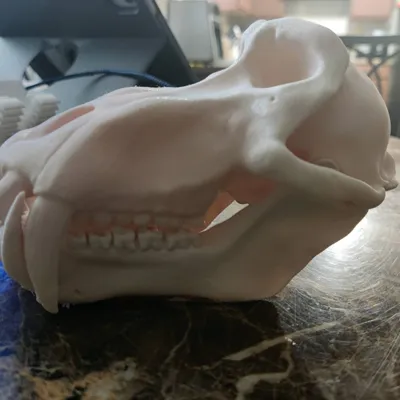 https://makerworld.bblmw.com/makerworld/model/1604168/1691339/ratings/493156a0-6f37-11f0-8eee-4f81bee208ae.jpg