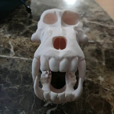 https://makerworld.bblmw.com/makerworld/model/1604168/1691339/ratings/4933a090-6f37-11f0-8eee-4f81bee208ae.jpg