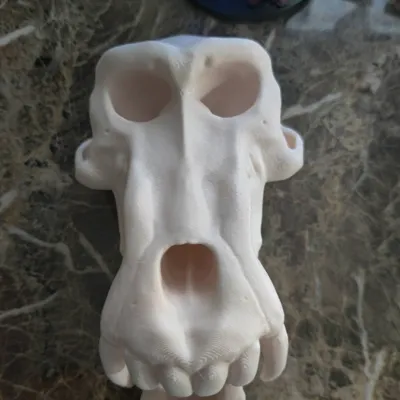 https://makerworld.bblmw.com/makerworld/model/1604168/1691339/ratings/494330f0-6f37-11f0-8eee-4f81bee208ae.jpg