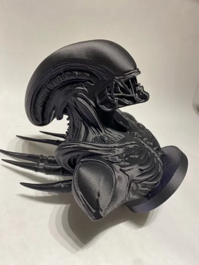 https://makerworld.bblmw.com/makerworld/model/1604678/1720932/ratings/69faf200-e1b1-11f0-b2c9-0306e1b46c01.jpg