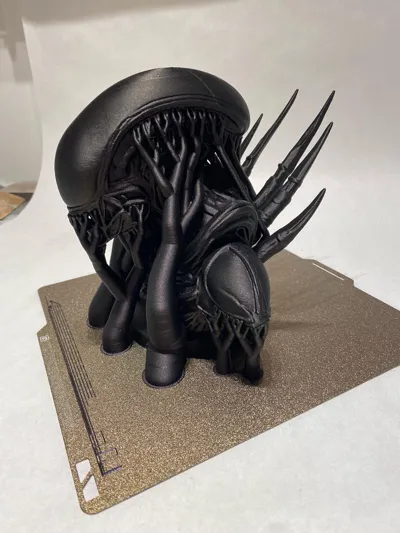 https://makerworld.bblmw.com/makerworld/model/1604678/1720932/ratings/69fb4020-e1b1-11f0-b2c9-0306e1b46c01.jpg