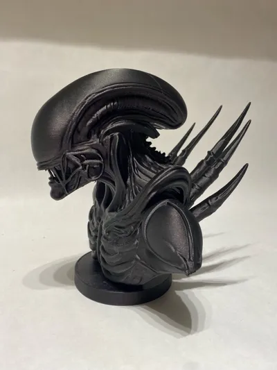 https://makerworld.bblmw.com/makerworld/model/1604678/1720932/ratings/6a04dd10-e1b1-11f0-b2c9-0306e1b46c01.jpg