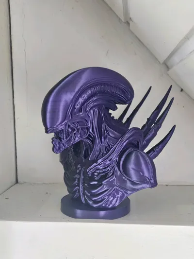 https://makerworld.bblmw.com/makerworld/model/1604678/1720932/ratings/e98a5740-b736-11f0-bbdc-27f4f544cd9f.jpg