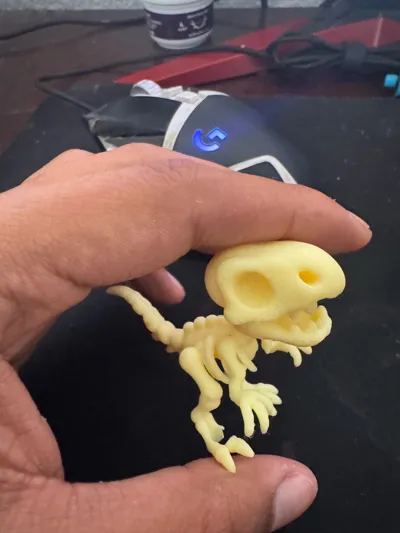 https://makerworld.bblmw.com/makerworld/model/1604873/1692183/ratings/16835c50-634b-11f0-87d1-5bcc4802e8c7.jpg