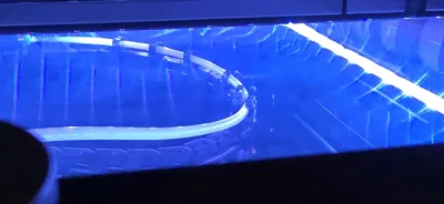 https://makerworld.bblmw.com/makerworld/model/16052/149851/ratings/c7df2080-125e-11f0-b75d-c33838d58a8c.jpg