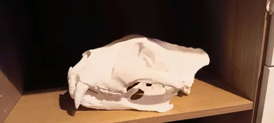 https://makerworld.bblmw.com/makerworld/model/1605522/1692966/ratings/32757990-996d-11f0-8346-95d58d3b1a09.jpg
