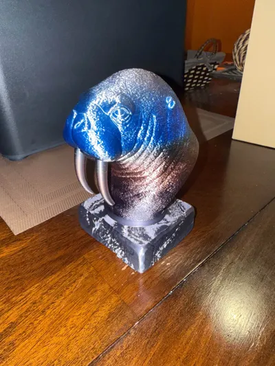 https://makerworld.bblmw.com/makerworld/model/1605579/1693037/ratings/cba33e00-693d-11f0-82e2-03ce49852448.jpg