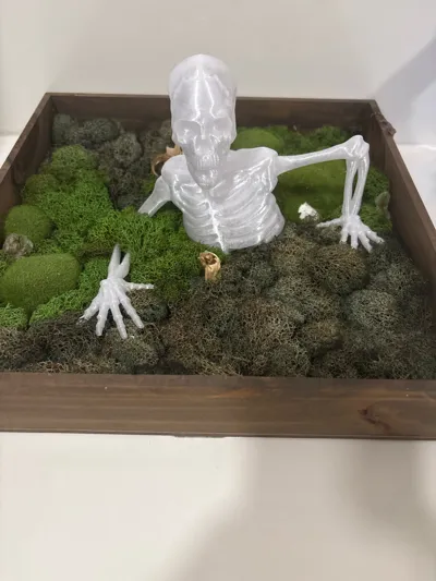 https://makerworld.bblmw.com/makerworld/model/1606650/1694235/ratings/f6a91140-9748-11f0-894e-7153cea5a2e8.jpg