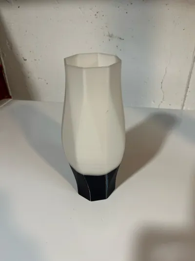 https://makerworld.bblmw.com/makerworld/model/1608307/1696221/ratings/b7138f80-bd93-11f0-a695-076dbd6994d7.jpg