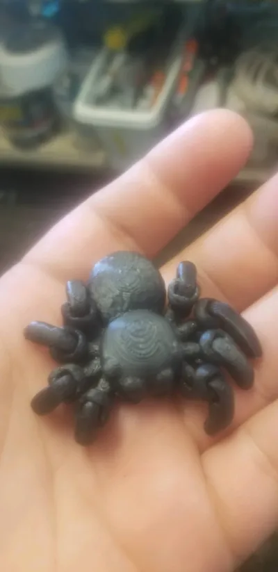 https://makerworld.bblmw.com/makerworld/model/1609975/1698169/ratings/20d2b5a0-699c-11f0-97f5-3f56bf0ced80.jpg