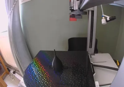 https://makerworld.bblmw.com/makerworld/model/1610110/1698311/ratings/3b93d570-6ae3-11f0-8b61-91af5554f440.jpg