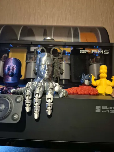 https://makerworld.bblmw.com/makerworld/model/161108/176777/ratings/730638b0-64d3-11f0-9440-a315796992a8.jpg