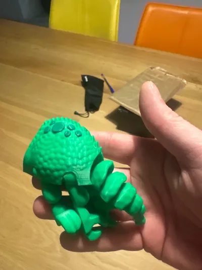 https://makerworld.bblmw.com/makerworld/model/1611393/1699886/ratings/0dd75d00-91a3-11f0-b2e9-853e6d2306c3.jpg
