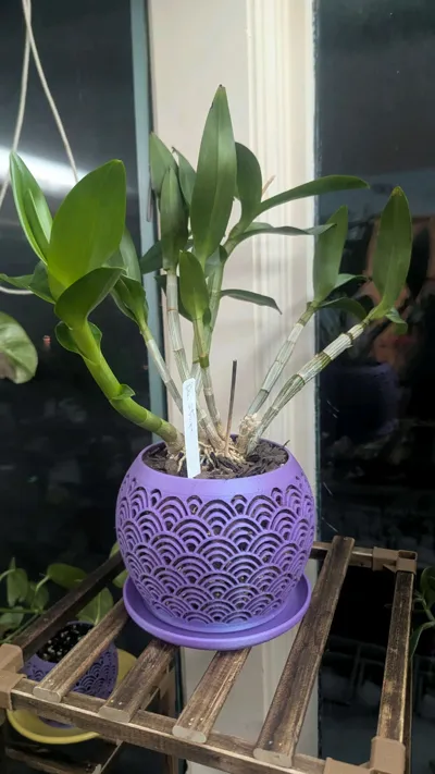 https://makerworld.bblmw.com/makerworld/model/1611497/1911679/ratings/1b8c2a00-d7d2-11f0-997c-6b5f413b2bbf.jpg