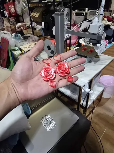 https://makerworld.bblmw.com/makerworld/model/1611746/1700317/ratings/05008b50-f53c-11f0-a2b5-1348bce279ff.jpg