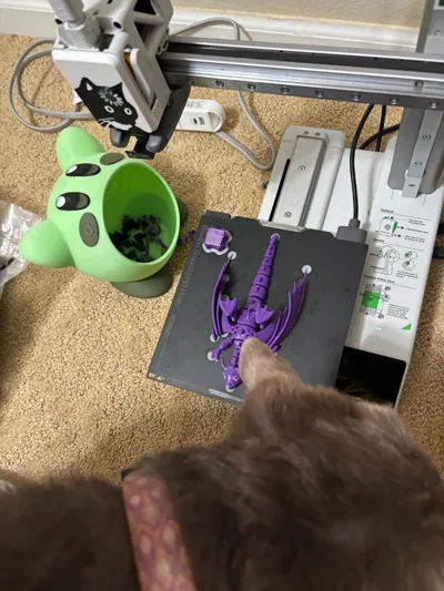 https://makerworld.bblmw.com/makerworld/model/1613082/1701823/ratings/33c5b290-79f8-11f0-8f41-95bfb2b42854.jpg