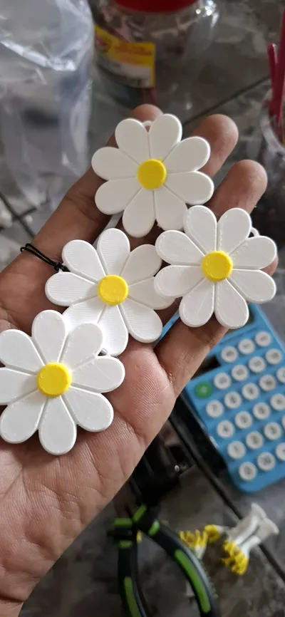 https://makerworld.bblmw.com/makerworld/model/1613597/1702409/ratings/299a2860-abe3-11f0-9caf-3b457ea19dc3.jpg
